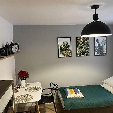 Apartamenty Blogi Sen Ii- Komfortowy Nocleg W Spokojnej Lokalizacji Zabrze Exterior foto